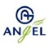 Angel Musical Instrument