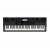 Синтезатор Casio WK-6600K7