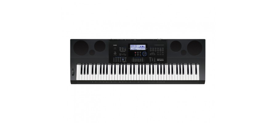 Синтезатор Casio WK-6600K7 Синтезатор Casio WK-6600K7