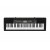 Синтезатор Casio CTK-2500K7
