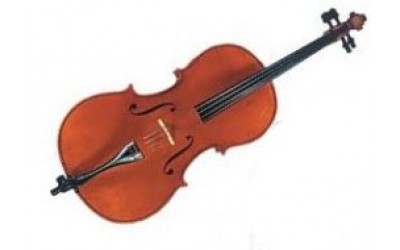 Віолончель GLIGA Cello 4/4 Gama II