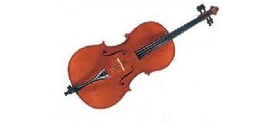 Віолончель GLIGA Cello 4/4 Gama II