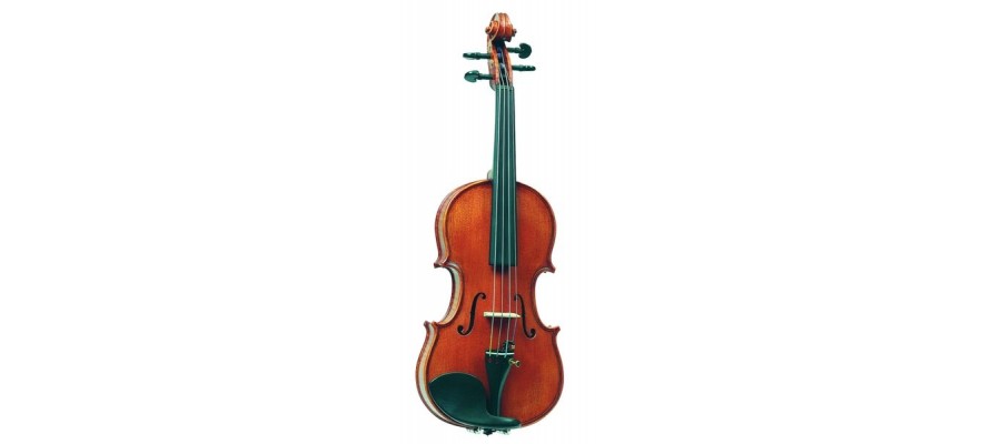 Скрипка професійна GLIGA Violin1/2Gama I