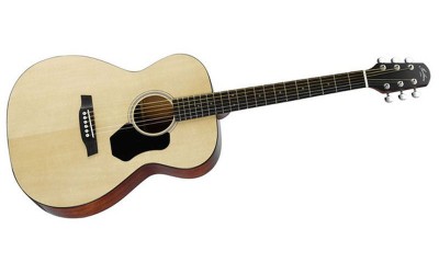 Гітара акустична HAWTHORNE HO220/B
