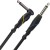 Інструментальний кабель MONSTER CABLE S100-I-21A