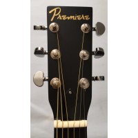 Акустическая гитара PREMIERE PD140C