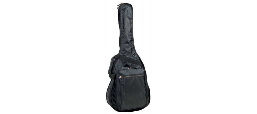 Чохол PROEL BAG100PN