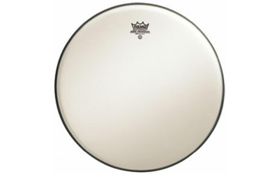 Пластик REMO BD081600