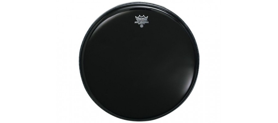 Пластик REMO BX081310