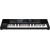 Синтезатор-аранжувальник Roland E-A7