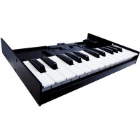 Клавіатура Roland K25m