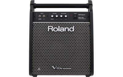 Монітор Roland PM100