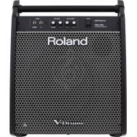 Монітор Roland PM200