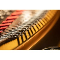 Рояль SEILER KONZERT 242 чорний Рояль SEILER KONZERT 242 чорний
