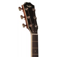 Гітара електроакустична Taylor 516ce