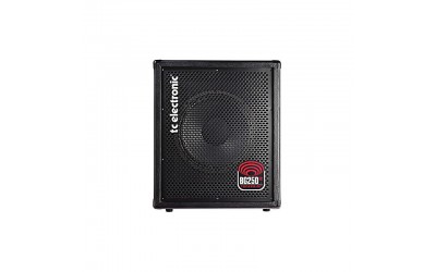 Комбопідсилювач TC ELECTRONIC BG250-112