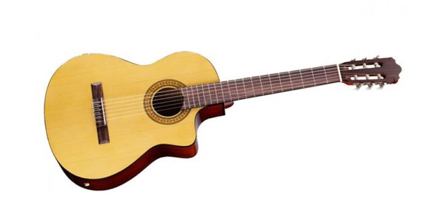 Гітара класична WALDEN N350CE