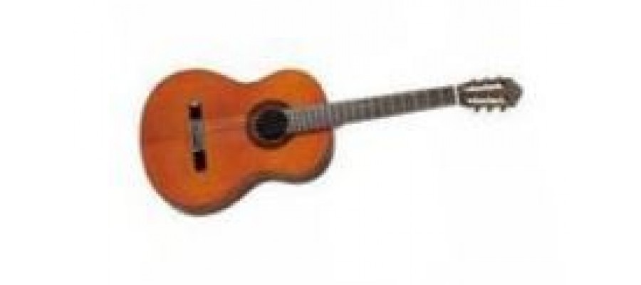 Гітара класична WALDEN SN630G